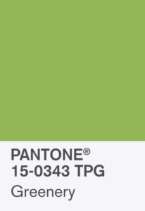 COY17 Chip 1 206x300
